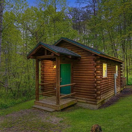 Blue Rose Cabins - Cozy Cabin Logan Dış mekan fotoğraf